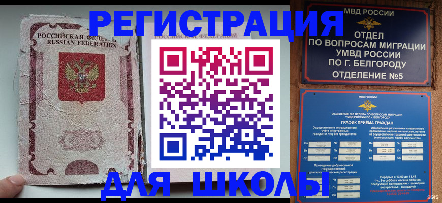 прописка гарантия в Коле